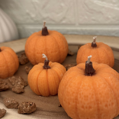 Mini Pumpkins | Mini Kürbisse