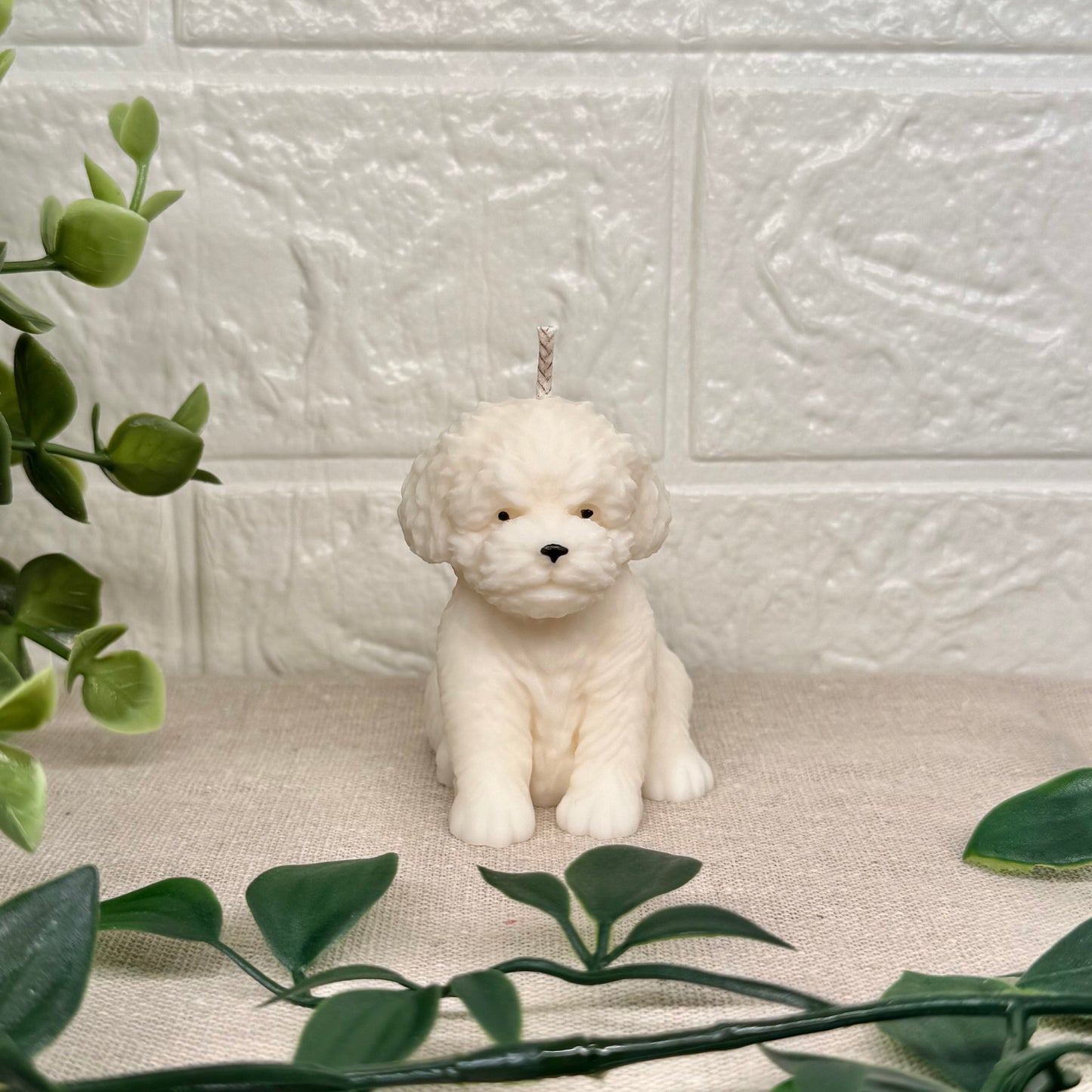Teddy Hund
