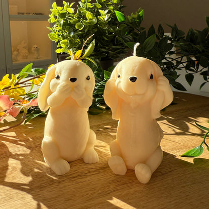 Hase (hört nichts)